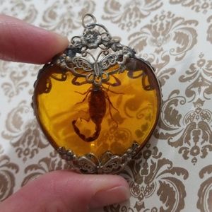 Scorpion in Resin Pendant